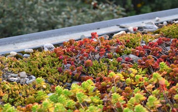 the cost of Bellmount green roof installation